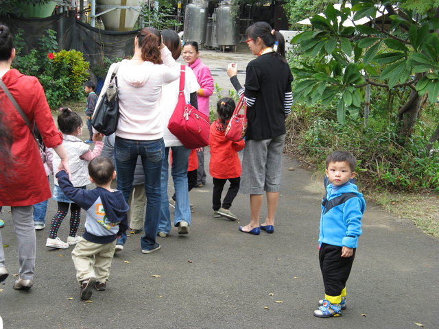 點選圖片以觀看原圖