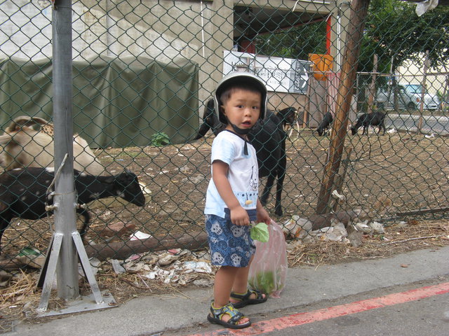 點選圖片以觀看原圖