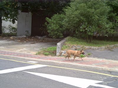 點選圖片以觀看原圖